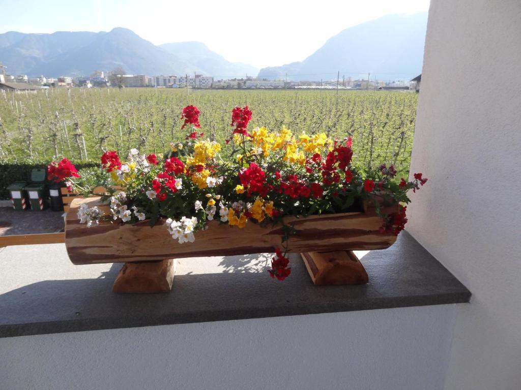 Apartments Klotz Bolzano Dış mekan fotoğraf