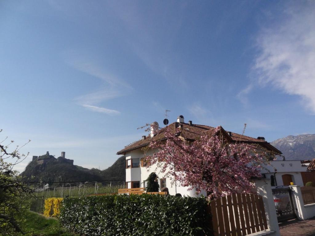 Apartments Klotz Bolzano Dış mekan fotoğraf